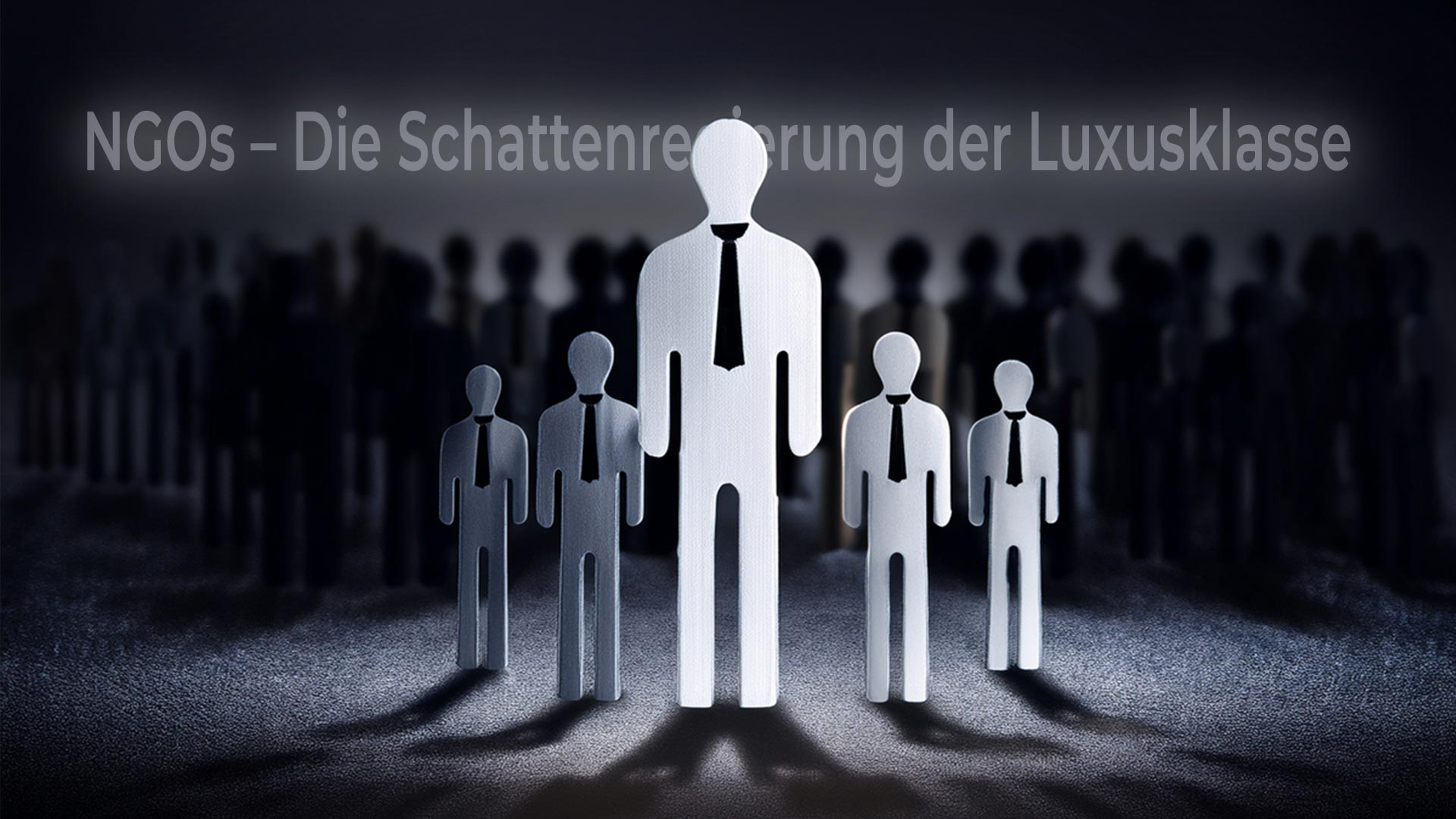 ArtikelBild zur NGO Schattenregierung